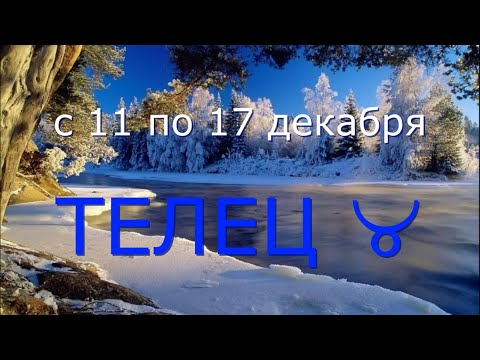 ТЕЛЕЦ ♉️с 11 по 17 декабря.