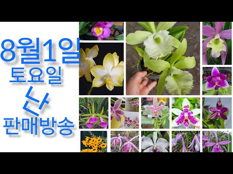 상품 소개 영상