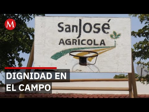 Dignidad en el campo: Villa San José, el refugio que cambia la vida de los jornaleros