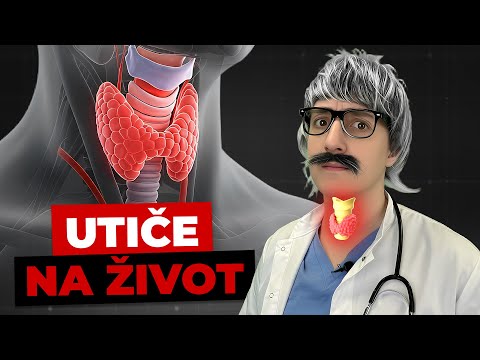 Šta sve štitna žlijezda može da ti uradi?
