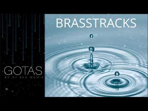 BRASSTRACKS - Hold Ya (ft. Lawrence)