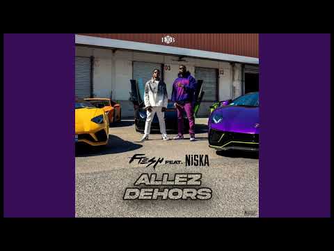 Fresh La Peufra Feat Niska Allez Dehors ( Slowed + Reverb )