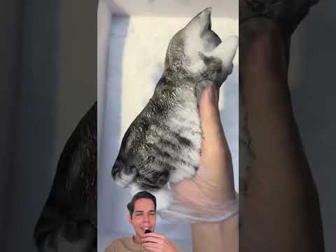 Cada vez los peluches son más realistas