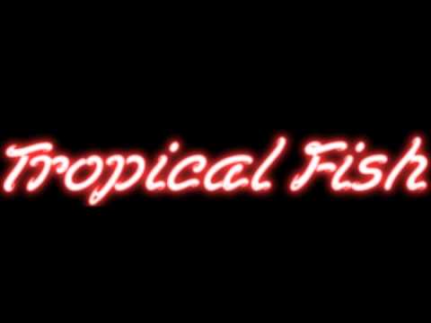 Tropical Fish - Namaskar