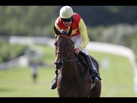 Bad Harzburg: Preis des Grand Hotels Harzburger Hof - German Grand National - Sieger:  Serienlohn