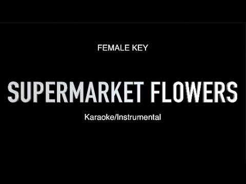 Supermarket Flowers - Ed Sheeran - FEMALE KEY (Instrumental/Sing Along)