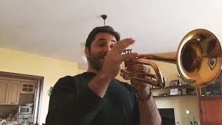 Video thumbnail for Yamaha 6310Z by mirko rinaldi