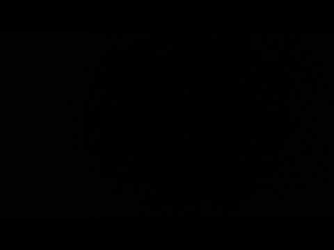 SEÑORITA BOLIVAR 2018-2019