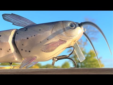 Watch Catching Fish On The CatFish SwimBait PLUS Lure Making Testing  Talking Video on