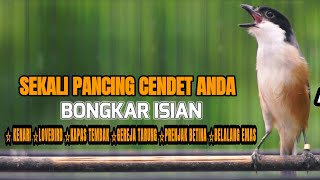 Download lagu PANCINGAN CENDET DAN MASTERAN FULL TEMBAKAN ISIAN MEWAH mp3 Download lagu PANCINGAN CENDET DAN MASTERAN FULL TEMBAKAN ISIAN MEWAH mp3