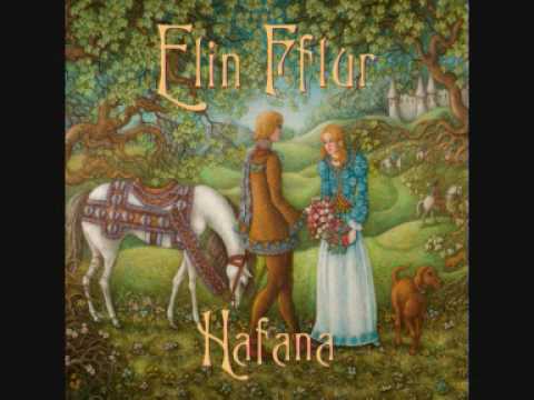 Tywysoges Goll - Elin Fflur (geiriau / lyrics)