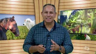 Miniatura do vídeo