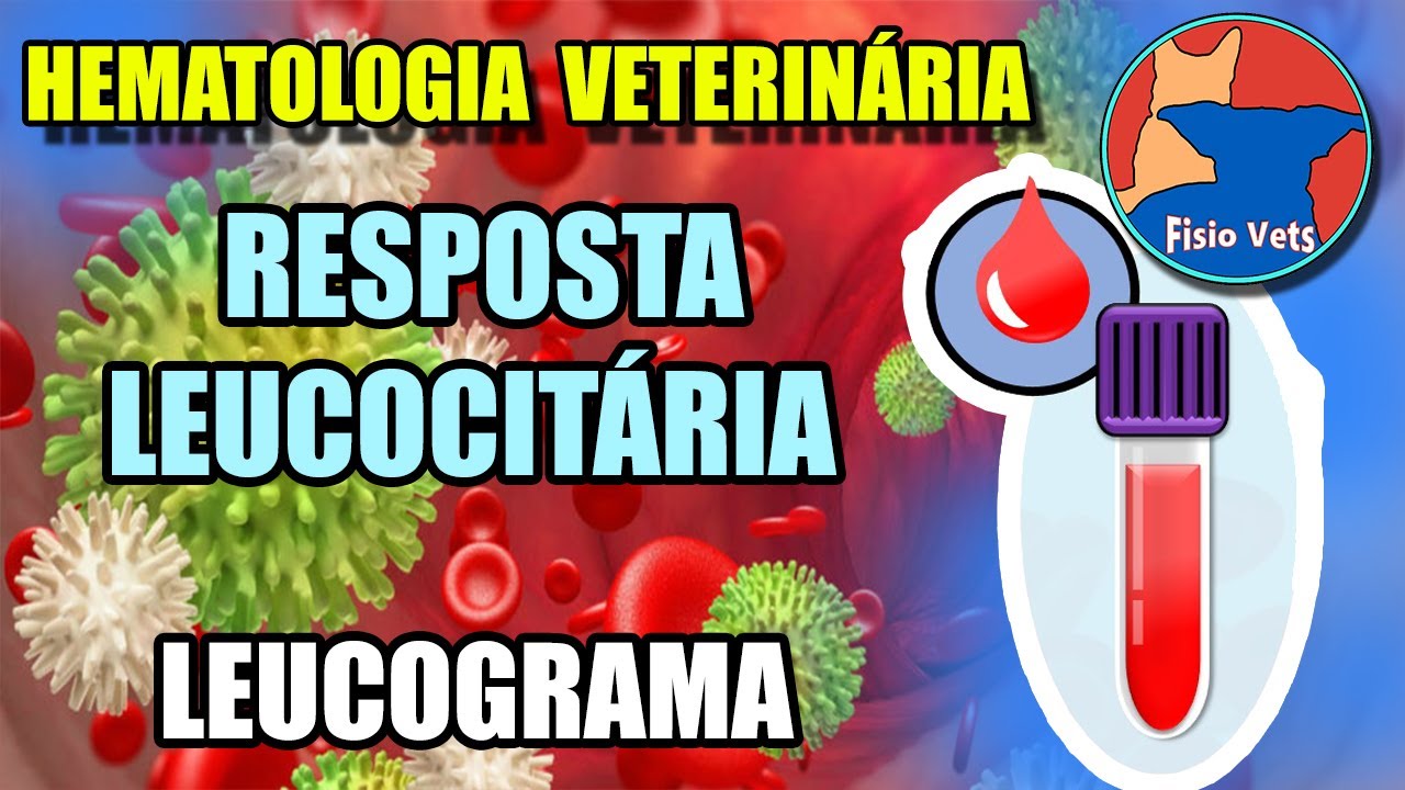 Interpretação do hemograma | Leucograma (Parte 1) - Medicina veterinária