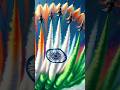 Happy Independence Day Status 2024 15 August Status Video 2024 New WhatsApp Status Video Status