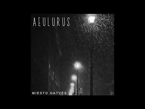 AEULURUS - Miesto gatvės