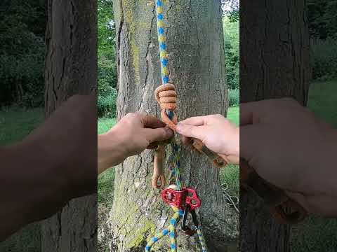 VT friction hitch | Arborist knots