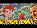 DisneylandForward Bait & Switch? Disney Quietly Updates Website to Say MASSIVE Expansion is at DCA!?