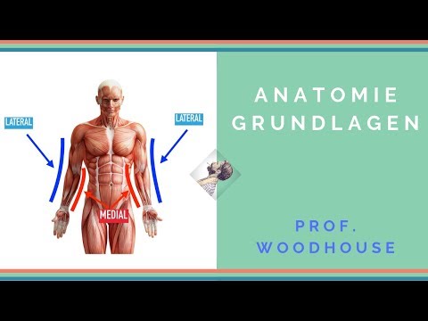 Anatomie: Grundlagen