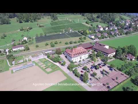 AgroVet-Stickhof - Drohnenflug über alle vier Betriebsstandorte