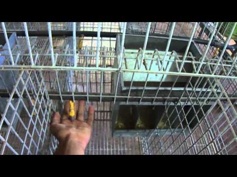 comment construire une cage a lapin