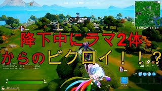 【フォートナイト実況#4】【20代一般会社員のゲーム実況】降下中にラマ2体！！！からのビクロイなるか！！？？？