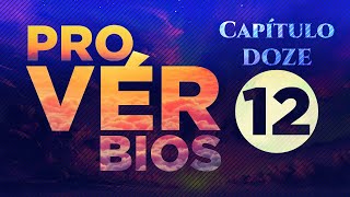 Provérbios 12 🟩 A Sabedoria Guia a Vida do Homem Prudente #dia12