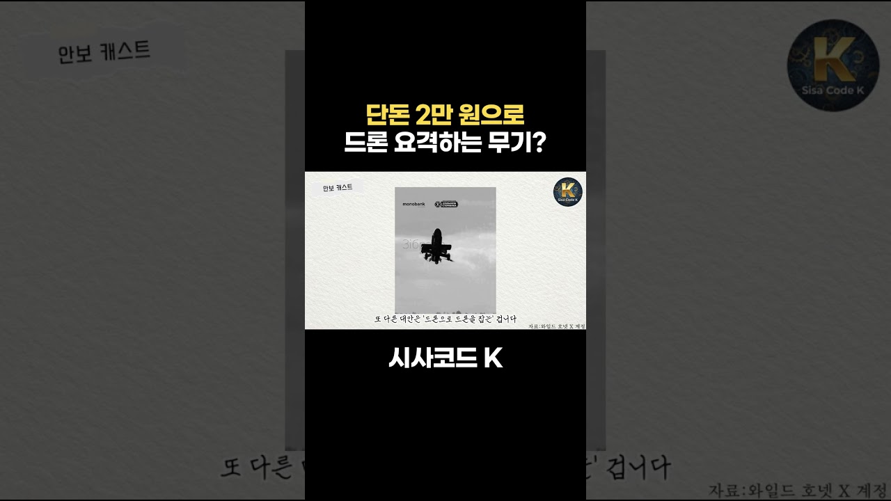 단돈 2만 원으로 드론 요격하는 무기?