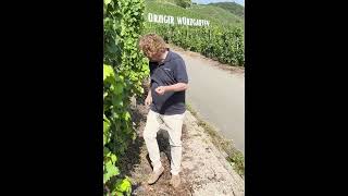YouTube: Weingut Dr. Loosen Mosel Ürziger Würzgarten Grosses Gewächs Reserve Riesling