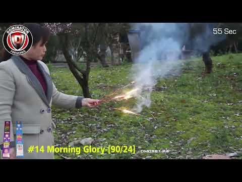 Morning Glory Sparkler - Boom Town Fireworks