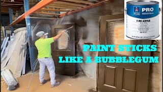 How To Spray New Fiberglass DOORS Prime & Paint | step by step #professional #painting #spraying