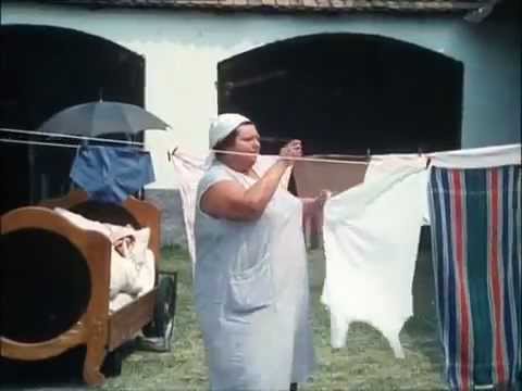 Slunce, seno, jahody - Co se tam tak vystavuješ, povídám.