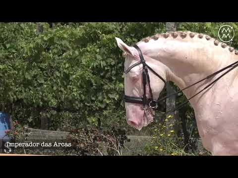 21 Coudelaria Manuel Maia Correia