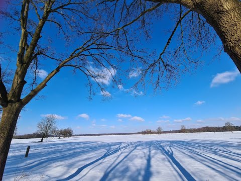 Advent aan de IJssel 2021 - aflevering 2 : Er is een roos ontloken uit barre wintergrond