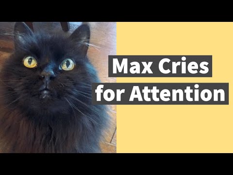 Max Cries for Attention
