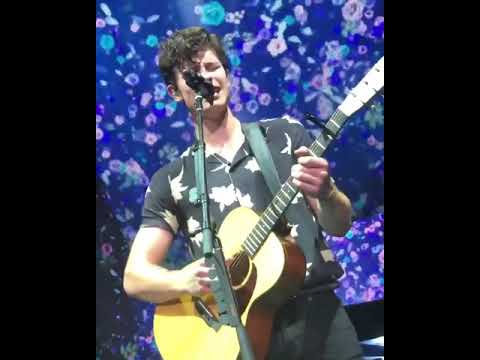 Shawn Mendes singing Youth at the summerfest 2018