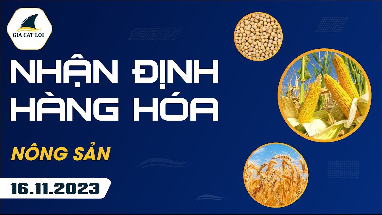 Nhận Định Hàng Hoá Nông Sản Ngày 16/11/2023