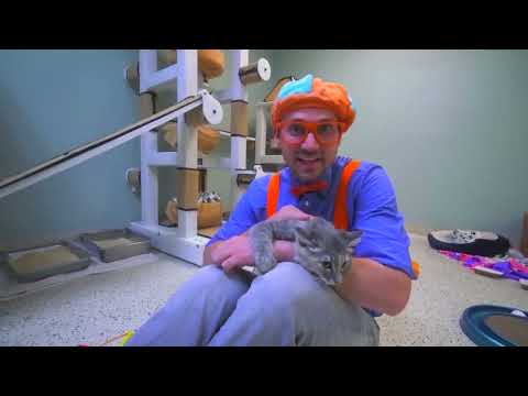 Blebi goes to the animals