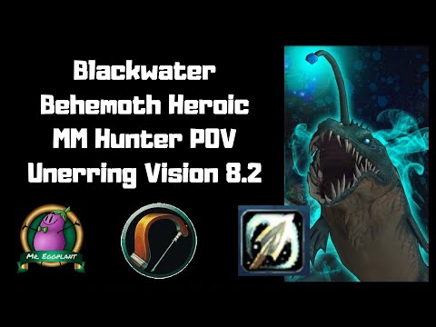 Blackwater Behemoth | Heroic Eternal Palace | MM Hunter POV Unerring Vision 8.2