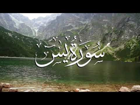 Surah Yasin, ArRahman, Al Mulk & Al Waqiah - Beautiful recitation by Sheikh Abbadi Houssem Eddine