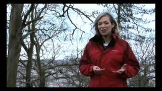 TACTRAN Travel Planning Best Practice DVD