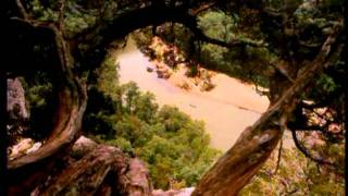 preview picture of video 'Trees of Arkansas State Parks'