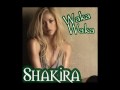 Download MP3 Stereo Shakira Waka Waka