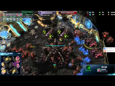 [TtSEED]Astrea (P) vs. [ROOT]Sasquatch (Z) Derelict Watcher TE AMAZING ZVP