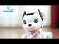 Robo-pes RC světelné a zvukové efekty
