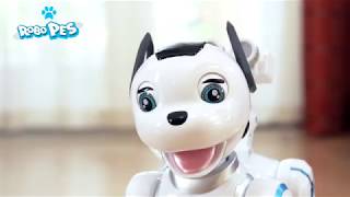 Robo-dog RC