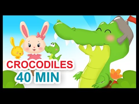 Ah les crocodiles et 40 min de comptines - Titounis