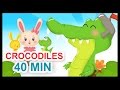 Ah les crocodiles et 40 min de comptines - Titounis ...