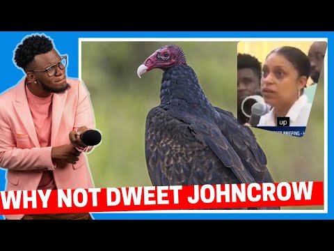 Zara Burton Suggests John Crows for Jamaica’s Hurricane Cleanup | Dutty Berry Reacts