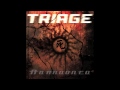 Triage - Broken Lullaby