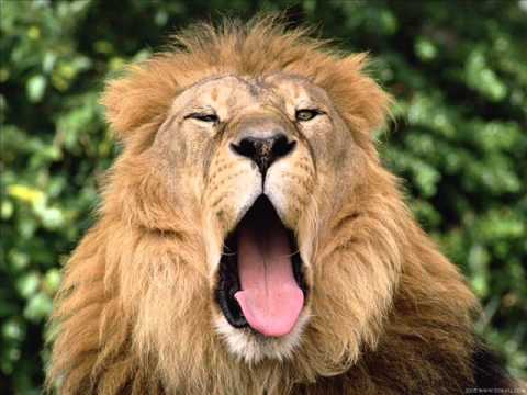 Alldub feat Nuwella Love So many tears .wmv